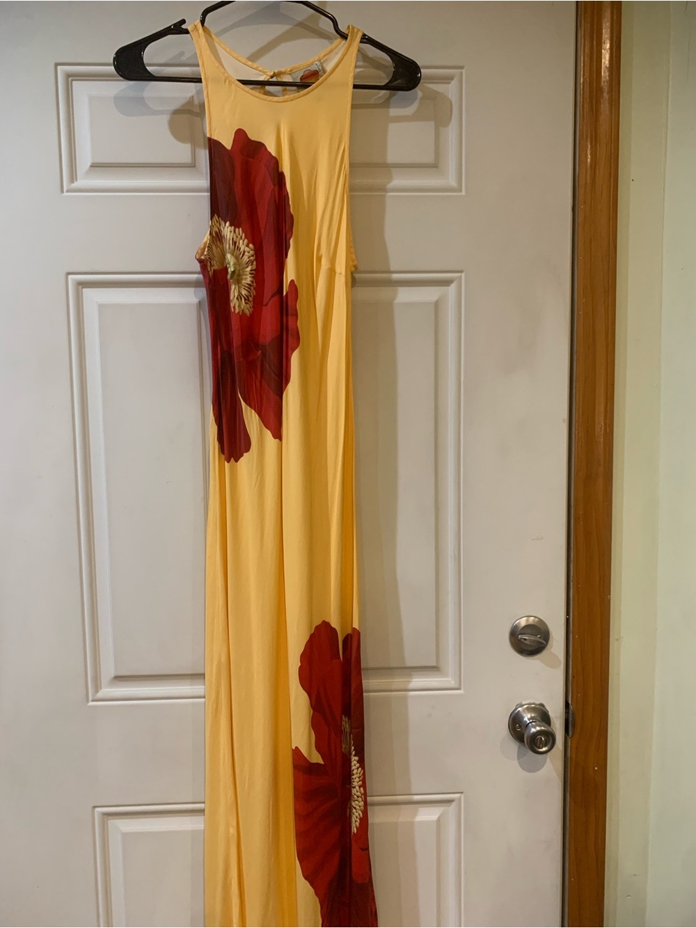 FARM Rio Yellow Maxi Dress with Red Floral Print Size Medium - Picture 4 of 9